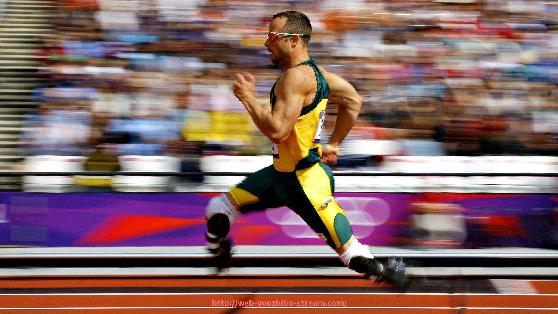 优直播-公园常见户外健身器材介绍与群众使用反馈